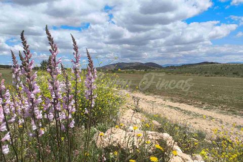 Landejendom i Yecla, Murcia, Yecla - € 225.000 | Ref: SF0527 - foto 21